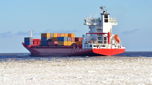 Sea Logistics Updates December 2024