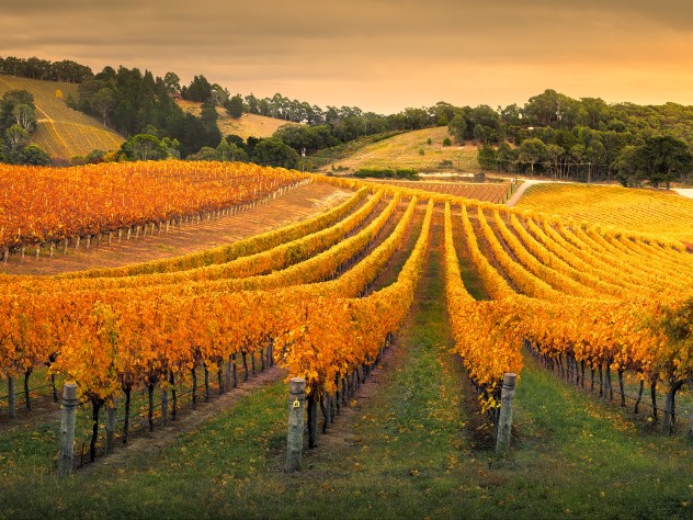 Tiivistelmä maantiekuljetusten markkinakatsauksesta