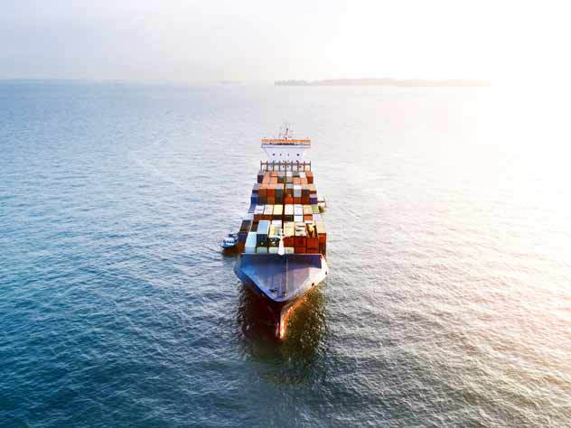 Import Control System 2 (ICS2) will be implemented in seafreight shipments during summer 2024